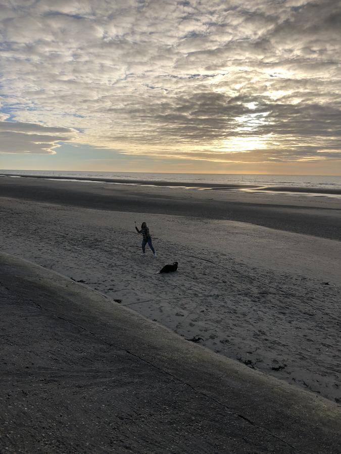 Villa Fernley De Panne Kültér fotó